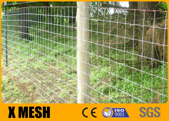 Dây lưới cừu dệt 2,5mm 100m 550N / Mm2 Mạ kẽm nhúng nóng