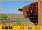 Hàng rào trang trại bằng kim loại tráng PVC 1400 Mpa Tấm hàng rào gia súc